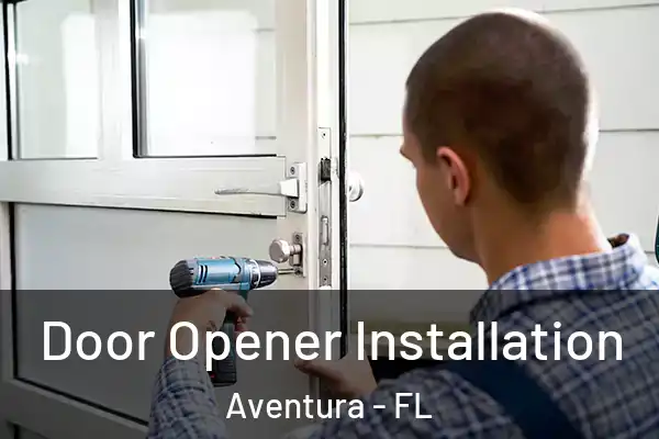  Door Opener Installation Aventura - FL