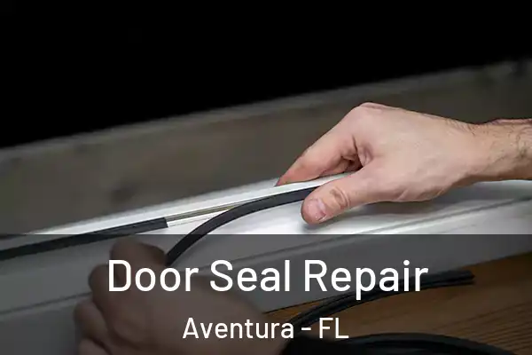 Door Seal Repair Aventura - FL