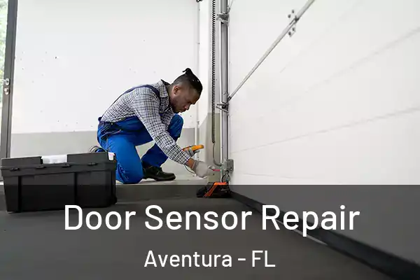 Door Sensor Repair Aventura - FL