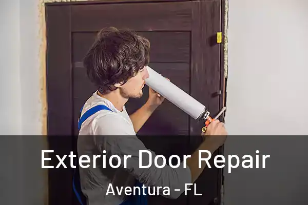 Exterior Door Repair Aventura - FL