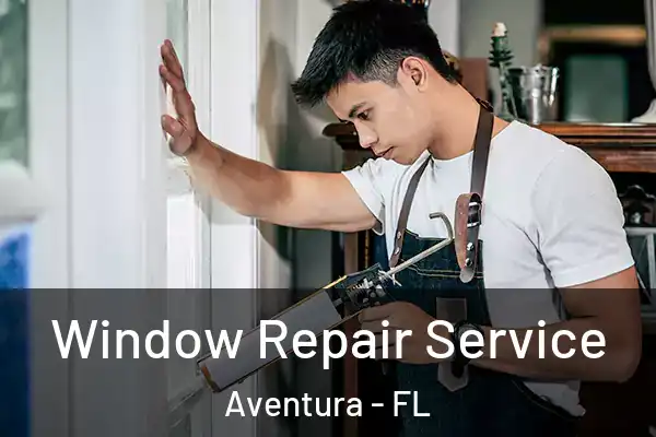 Window Repair Service Aventura - FL